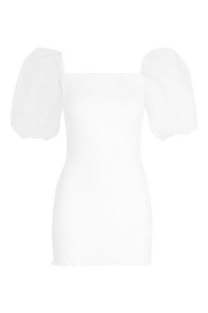 Petite Organza Sleeve Mini Dress | Boohoo