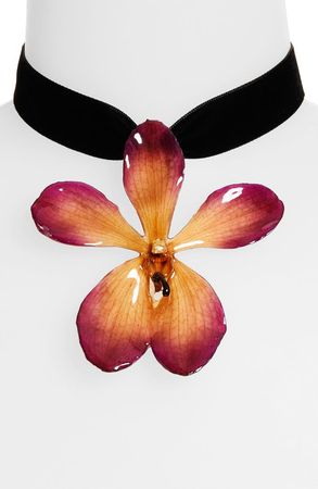 Dauphinette Mokana Orchid Velvet Choker | Nordstrom