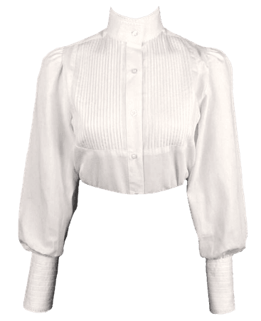 Victorian antique button blouse vintage png