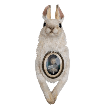 rabbit frame