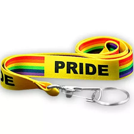 gay pride - Google Search