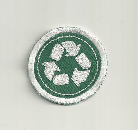 recycle pin