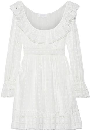 Ruffle-trimmed Embroidered Cotton Mini Dress