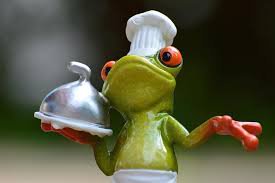 funny frog cooking - Google Search