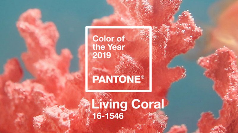 Living Coral Is Pantone’s 2019 Color of the Year – Adweek