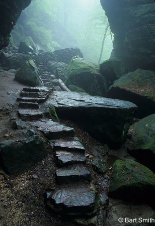 stone path in a forest