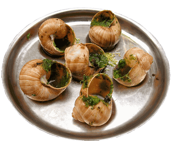 Escargots In Garlic Butter transparent PNG - StickPNG