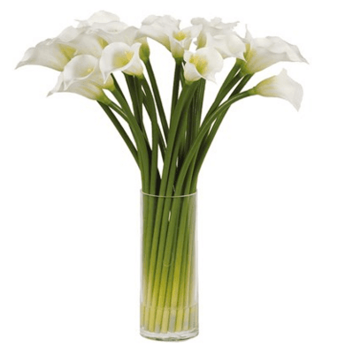 Google Image Result for https://www.trzcacak.rs/myfile/detail/273-2732215_calla-png-transparent-image-flower-bouquet.png