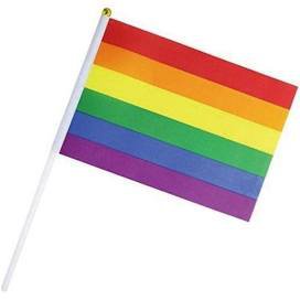 mini pride flag