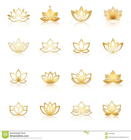 Gold Lotus sheet