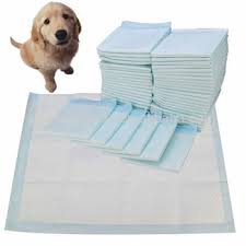 pee pad for dog - Google Search