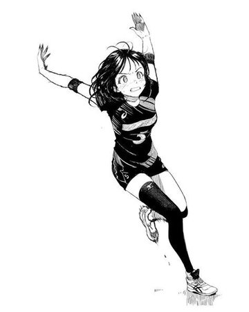 manga volleyball