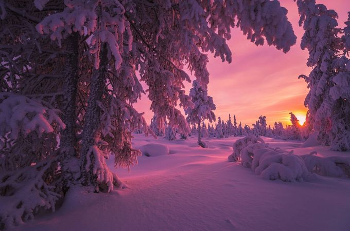 moody pink purple winter sunset