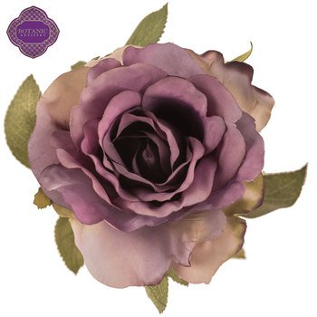 Lilac Rose