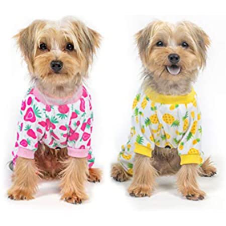Amazon.com : kyeese Dogs Pajamas Stretchable Lemon Dog Pjs Lightweight 4 Legs Dog Onesie : Kitchen & Dining