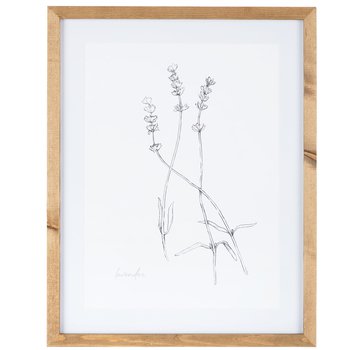 Sketched Lavender Framed Wall Decor | Hobby Lobby | 1652163