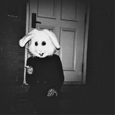 aba9d59197e80d70c1678982927311c2--white-rabbits-white-bunnies.jpg (236×236)