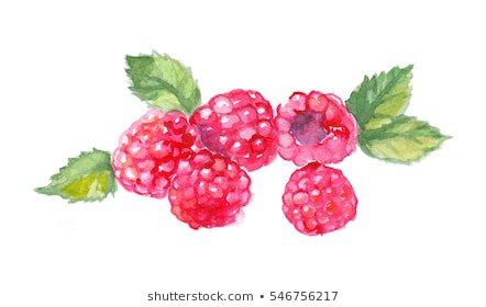 Watercolor Raspberry Images, Stock Photos & Vectors | Shutterstock