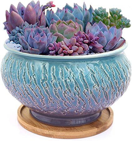 Amazon.com : Color Glazed Vintage Round Ceramic Succulent Plant Pot with Drainage Hole and Tray, Succulent Holder, Bonsai, Flower Vase, Garden Decorative, Cactus Plants Stand, Artificial Topiary Potted Container : Garden & Outdoor