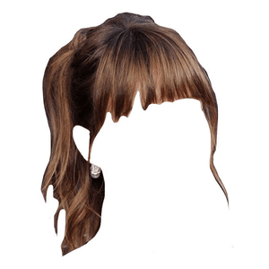 Brown Hair Ponytail Bangs