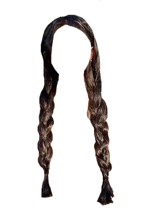 braided pigtails hair edit
