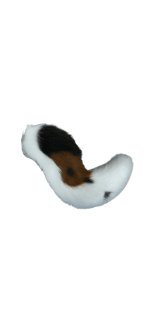 dog tail