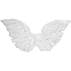 Pinterest (Pin) (29 wings )