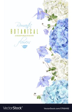Hydrangea vertical banner blue Royalty Free Vector Image