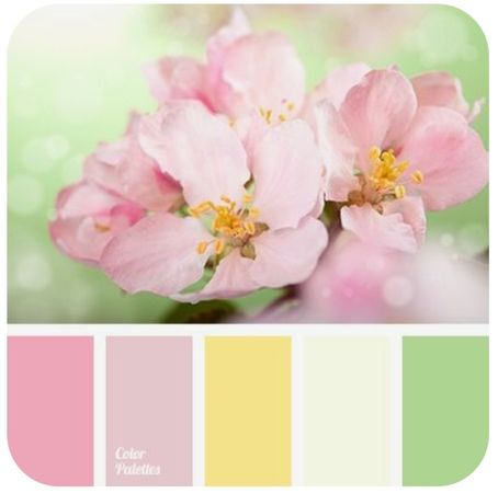 Spring colors