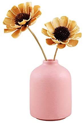 Amazon.com: Ceramic Vase for Home Decor,Ceramic Vase, Dried Flower Vase, Living Room Decoration, Flower Arrangement Decoration Shooting Props, The Best Gift (Pink) : Home & Kitchen