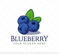 blueberry typo – Google-Suche