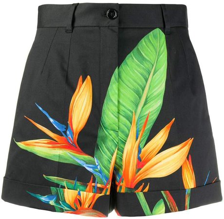 Tropical Print High-Waist Shorts