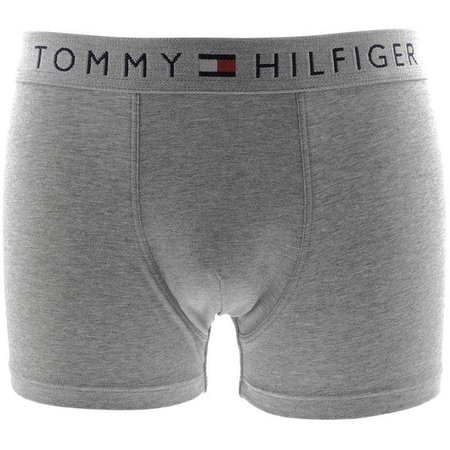 Gray Tommy Hilfiger Boxer Briefs