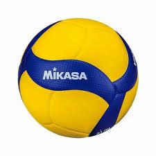 Volley ball - Búsqueda de Google