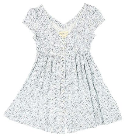 Denim & Supply Ralph Lauren Womens Floral Print Babydoll Dress Blue M at Amazon Women’s Clothing store