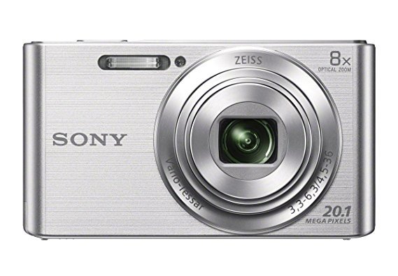 Sony DSCW830 20.1 MP Digital Camera with 2.7-Inch LCD