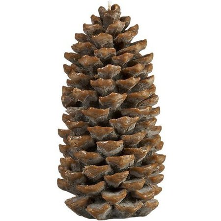 large pinecone