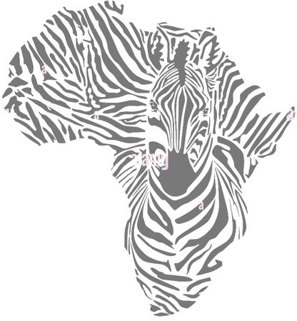 zebra design