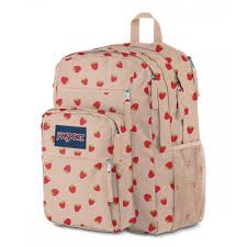 jansport strawberry backpack - Google Search