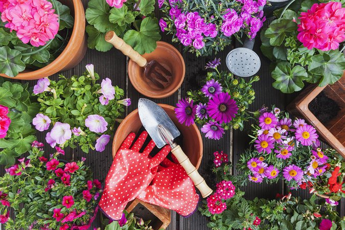 gardening aesthetic - Google Search