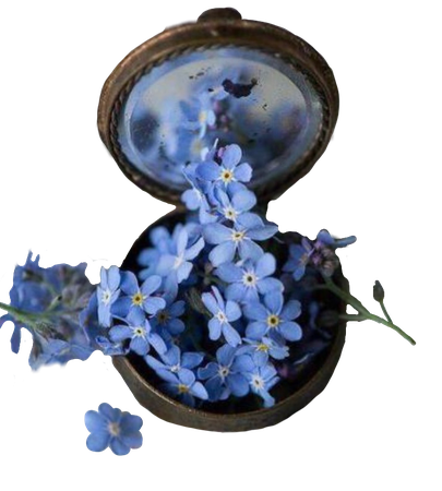 cias pngs // blue flowers