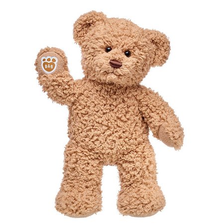 Embroidered Teddy Bear | Online Exclusive Gift | Shop at Build-A-Bear®