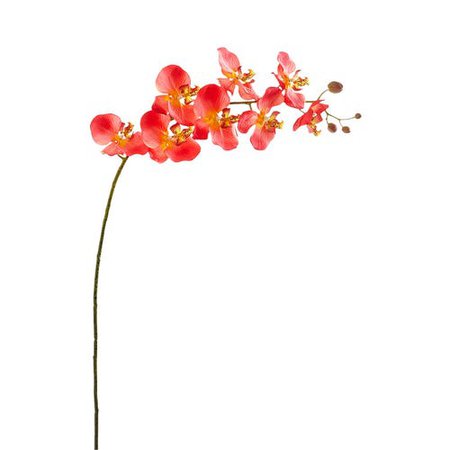 Faux Coral Orchid Stem | Pier 1