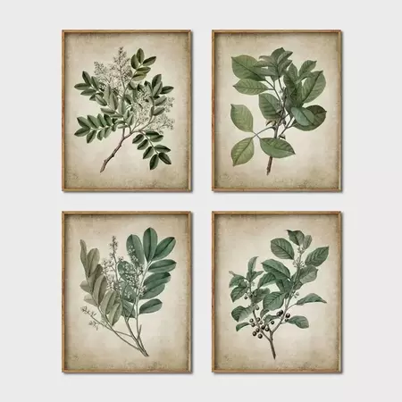 Vintage Plants Canvas Print, Retro Aesthetic Wall Art Painting, Wall Pictures For Bedroom & Living Room, Artwork, Home Decor, Frame Not Included - Temu