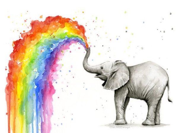 rainbow elephant