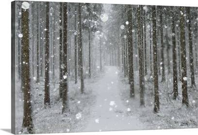winter snow scene pictures - Google Search