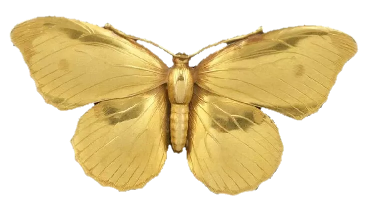 gold butterfly aesthetic - Google Search