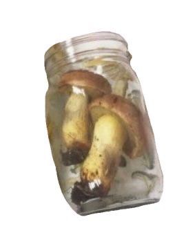 mushroom jar
