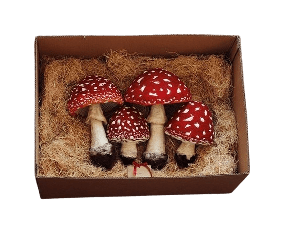mushroom png