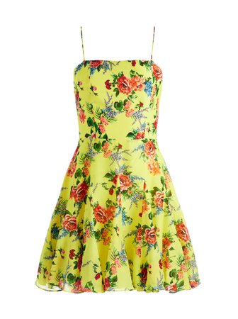 Ginny Spaghetti Strap Godet Dress In Floral Express Lemon Sorbet | Alice And Olivia